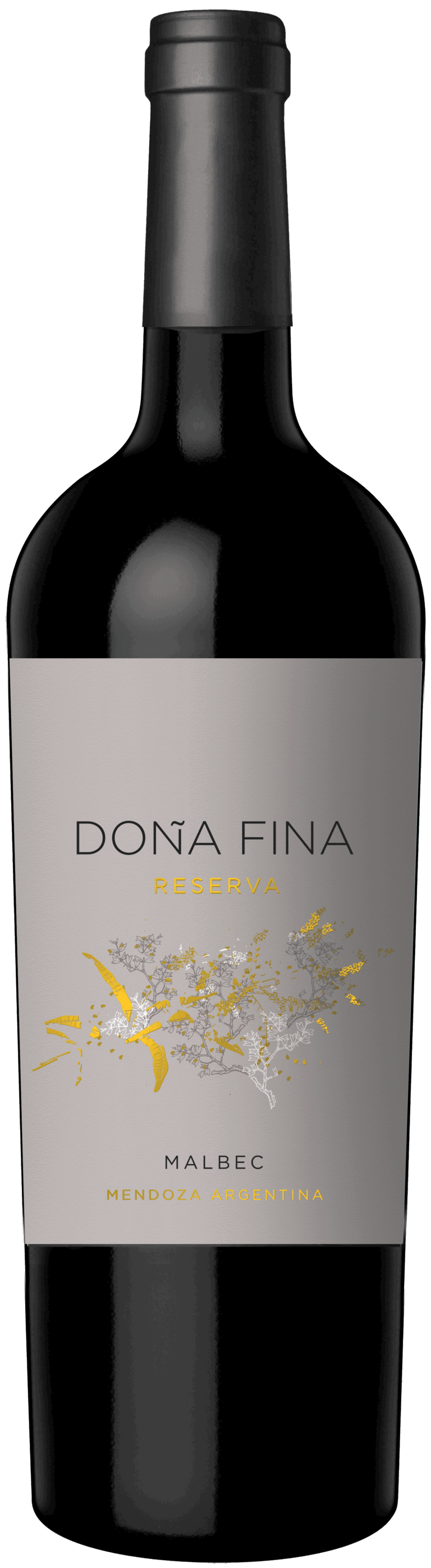 3_DONA FINA RVA (1)